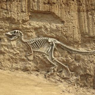 如何发现恐龙化石
