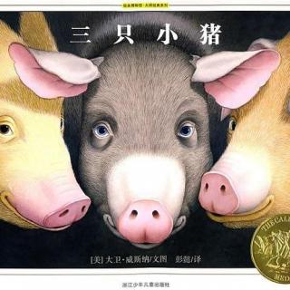 绘本剧《三只小猪》