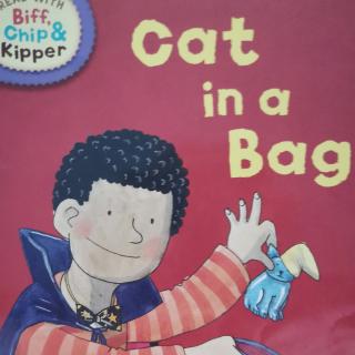 牛津阅读树2 Cat in a bag
