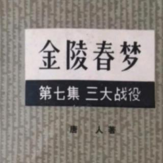 《金陵春梦》第七集第四十回