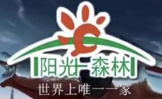 疾病是一种才能3⃣️～～林海峰