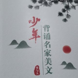 《荔枝核》葛翠琳