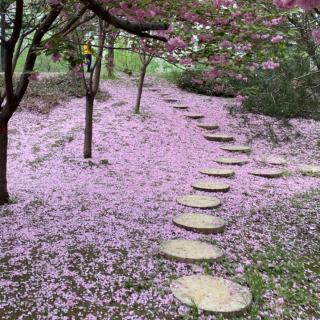 巜碾子印记》节选雷涛