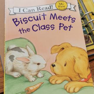 biscuit meets the class pet