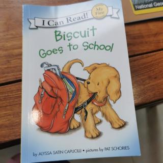 biscuit goes to school