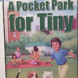 A pocket park for tiny