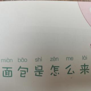 《面包是怎么来的》