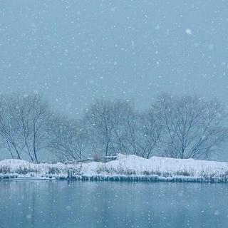 《总有一场雪，为你而来》