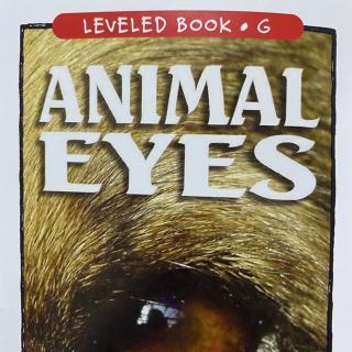 RAZ LevelG 106 - Animal Eyes