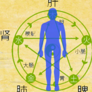 辛丑年春日文学名著＋预热西游记41 nd 43th