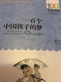 一百个中国孩子的梦：十一岁的梦
