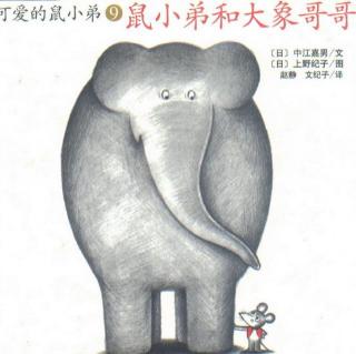 晚安故事｜《鼠小弟和🐘大象哥哥》