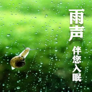 轻松入眠大自然下雨声 Windy Rain (2)