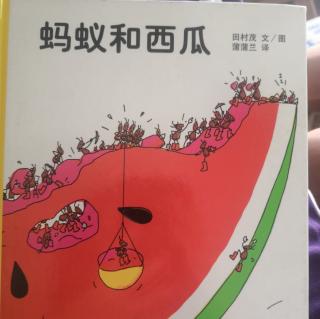 《蚂蚁和西瓜🐜🍉》