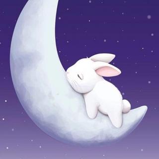 【中文助眠】我的兔宝宝，要睡觉了吗？
