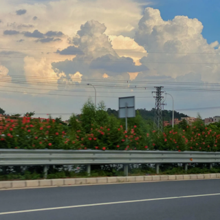 【晚安电台】遗失的梦