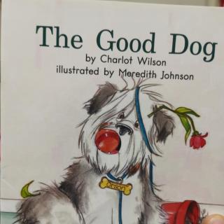 【预习】The  good  dog  0414Eric