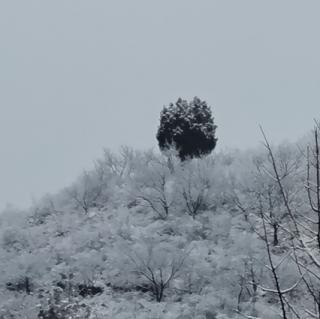 岁月，在祝福中前进