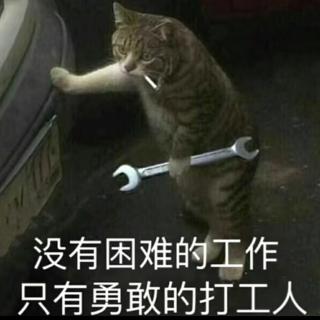 姜少博英语