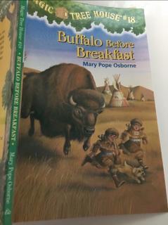 Buffalo Before Breakfast