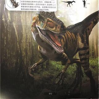 《勇敢孩子的恐龙公园》：始暴龙——暴君的原型
