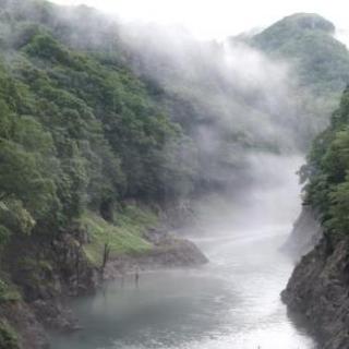 雨伞和大自然的声音让你睡得更香