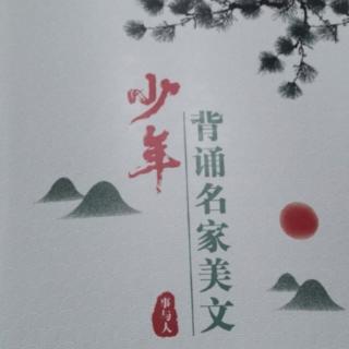 《采蒲台的苇》孙犁