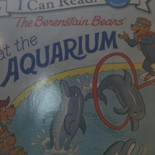 The Berenstain Bears At the Aquarium