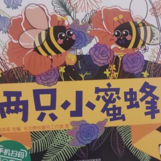 末末读绘本-199-两只小蜜蜂