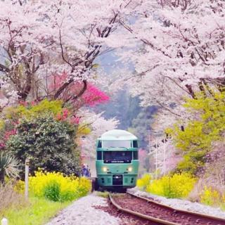 四季列车·花季列车