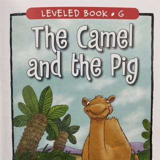 RAZ LeveIG 201 - The CameI and the Pig