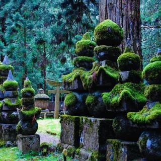 诗海微光｜圆通寺（余光中/著）