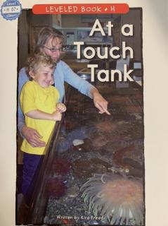 At a Touch Tank