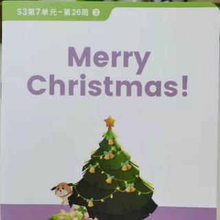 英语阅读～merry   christmas