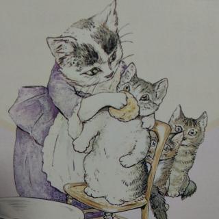 《小猫🐱汤姆的故事》