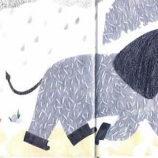 《小象和大伞》