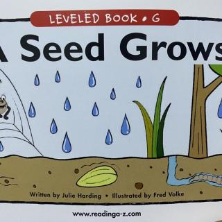 RAZ LevelG 806- A Seed Grows