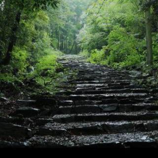 雨中石板路上听山泉奔流静心