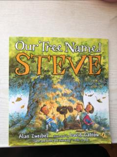 our tree named  steve