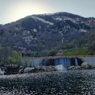 狼道~狼岂能无义，把忠诚浇铸在脊骨里