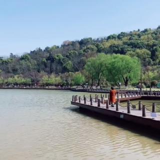 《七绝•镜湖观感》文 浩洋 诵 雪花飘飘