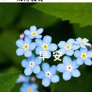 4.18科学探究