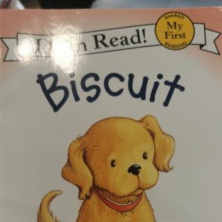 biscuit