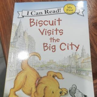 biscuit visits the big city