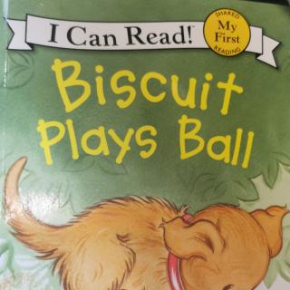 biscuit plays ball