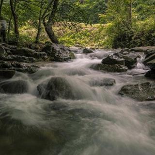 冥想疗愈‖流水的声音‖放松助眠