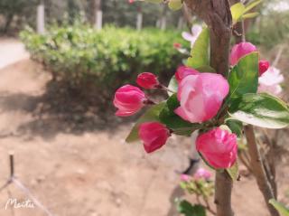 《那一天醉在夕阳里》再读  任定安