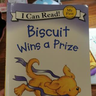 biscuit wins a prize