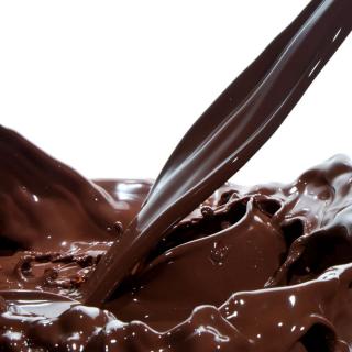 29.为什么多吃巧克力有副作用——十万个为什么