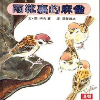 王老师读绘本——《雨靴里的麻雀》